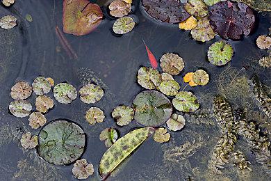 地雷社宣布将有新作推出 届时登录NS平台